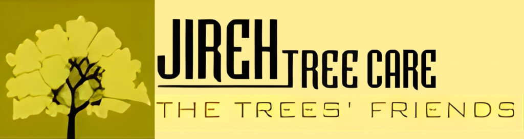 Jireh Tree Care