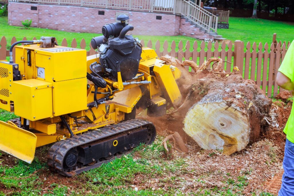 Stump Removal