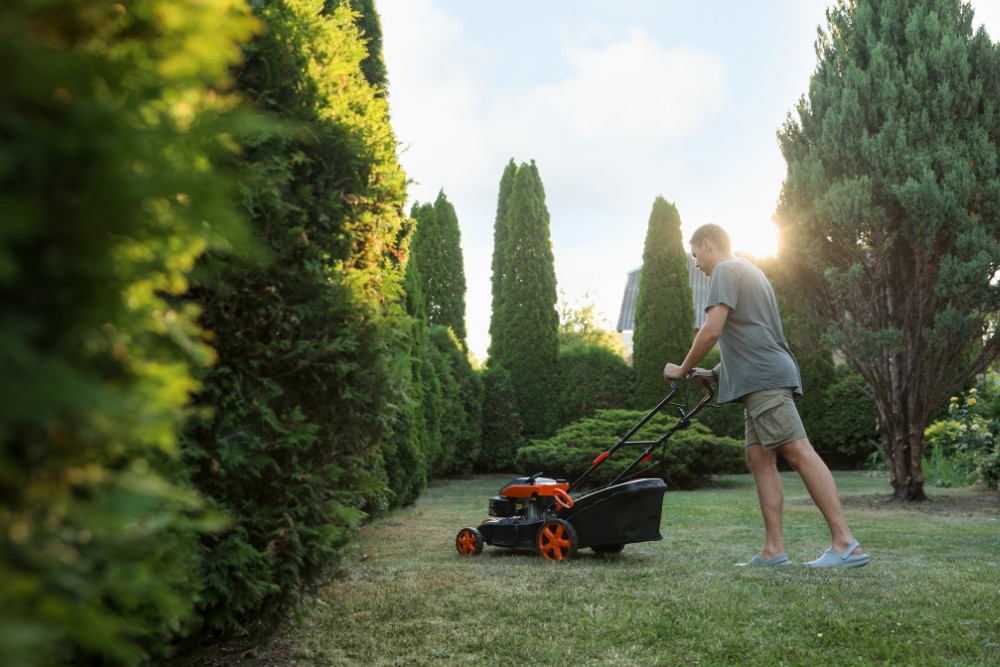 Garden Maintenance and Tree Care